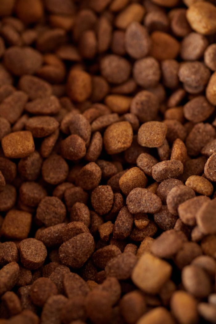 Detailed close-up of dry dog food kibble in varying shades of brown.